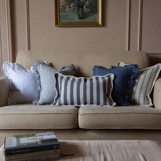 The French Blue Cushion Combination